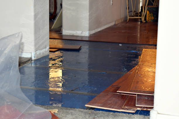 Professional Flood Damage Restoration technician working in Chantilly, VA